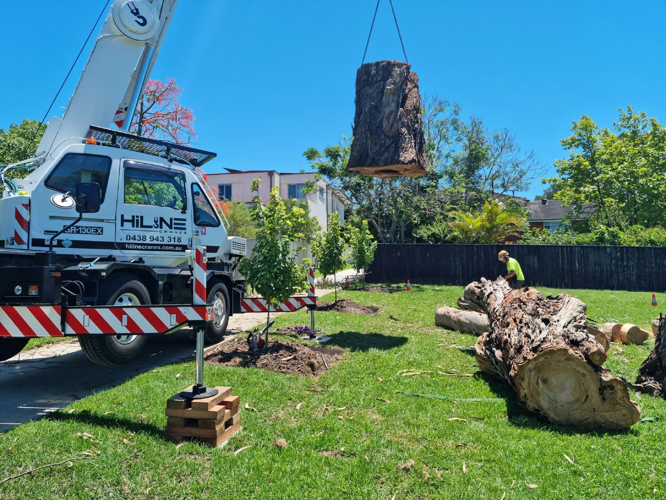 Tree Stump Removal