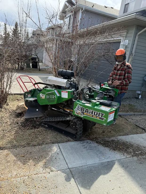 Professional stump removal technician at work