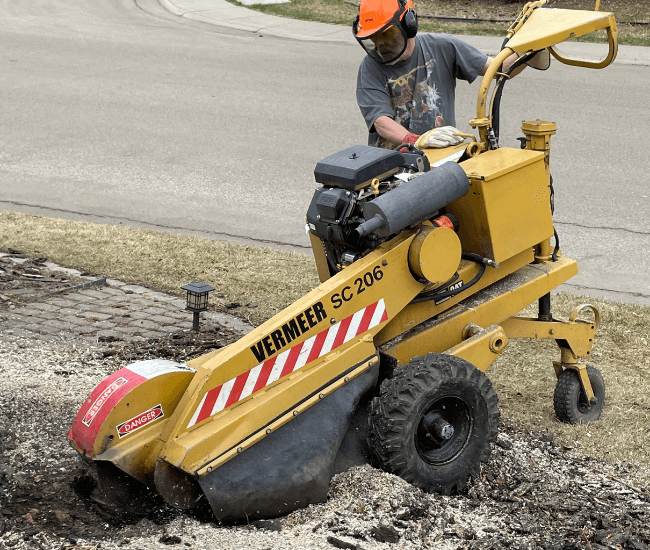 Professional stump grinding service in action