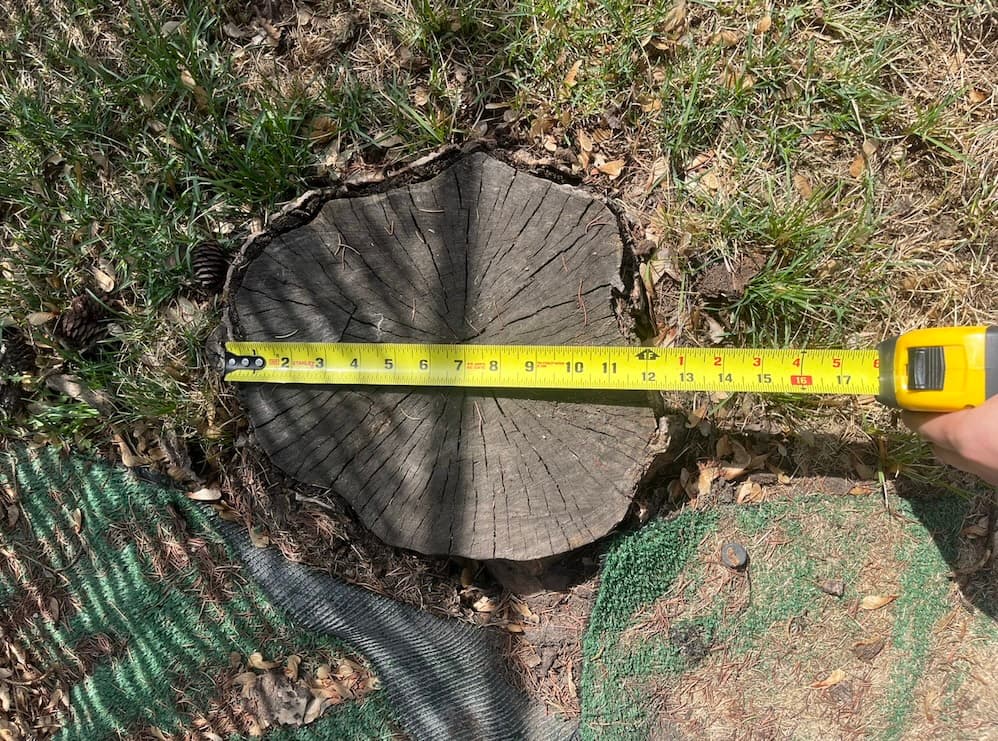 Tape measure showing the widest part of a tree stump for a stump grinding estimate