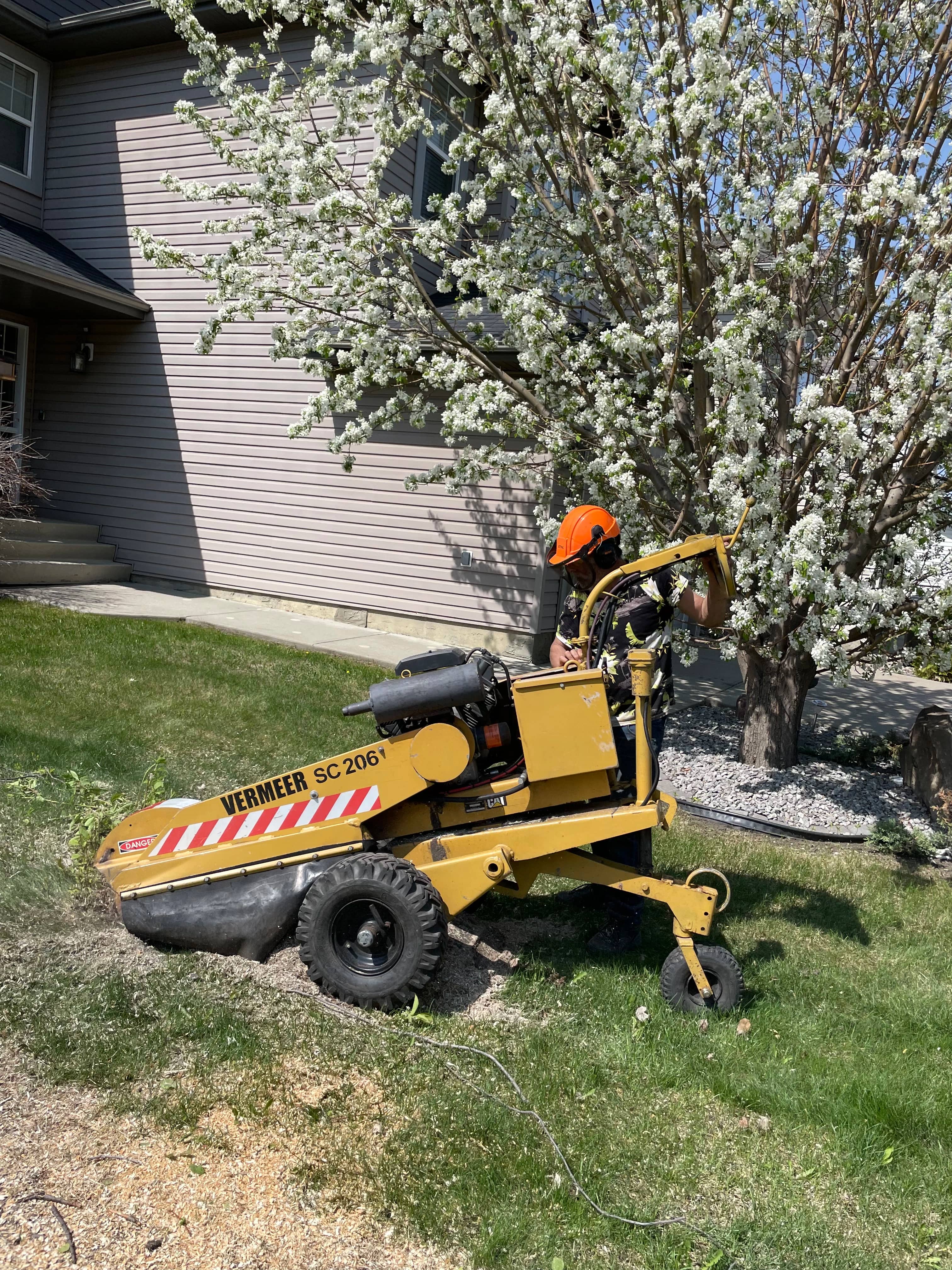 Stump Hero stump grinder on a residential job